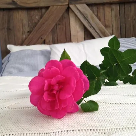 House Appartamento Costa Teguise