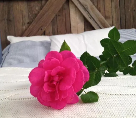 House Apartman Costa Teguise